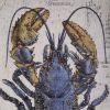 Blue Lobster Wall Decor