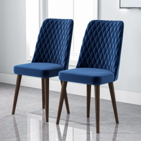 Katie Mid-Century Modern Velvet Dining Chair (Set of 2)