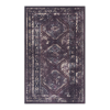 Area Rug 5x8, Washable Rug, Low-Pile, Non-Slip, Non-Shedding, Foldable, Kid & Pet Friendly - Area Rugs for living room, bedroom, kitchen