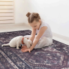 Area Rug 5x8, Washable Rug, Low-Pile, Non-Slip, Non-Shedding, Foldable, Kid & Pet Friendly - Area Rugs for living room, bedroom, kitchen