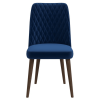 Katie Mid-Century Modern Velvet Dining Chair (Set of 2)