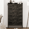 Large Capacity Shoe Cabinet