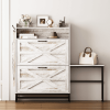 Home Entry Large Capacity Shoe Cabinet