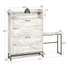Home Entry Large Capacity Shoe Cabinet