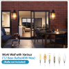 26H 1ps Modern Outdoor Wall Lanterns With Black Metal Frame And Clear Glass, 4 E12 Bulb Socket, Weatherproof Wall Sconces For Porch, Garden, Pati