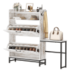 Home Entry Large Capacity Shoe Cabinet